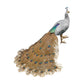 Peacock (Partial Gilt)
